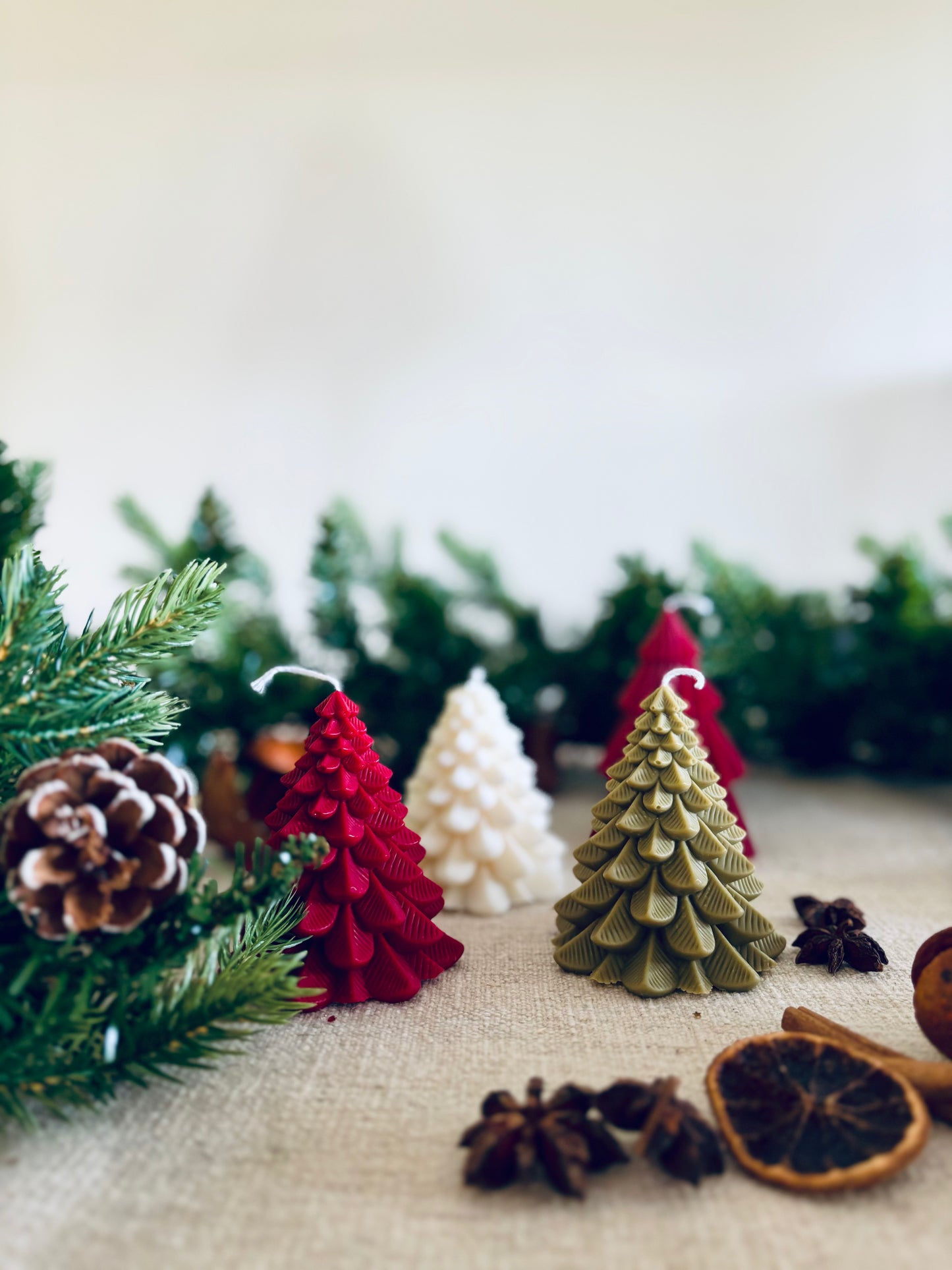 🎄Festive Pines🎄 (110g)