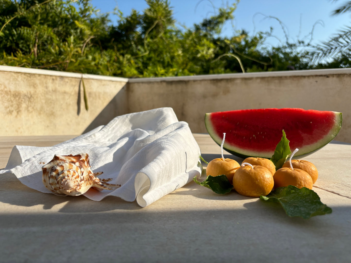 🍊 Mandarin Wax Melt set of 4 (120g)