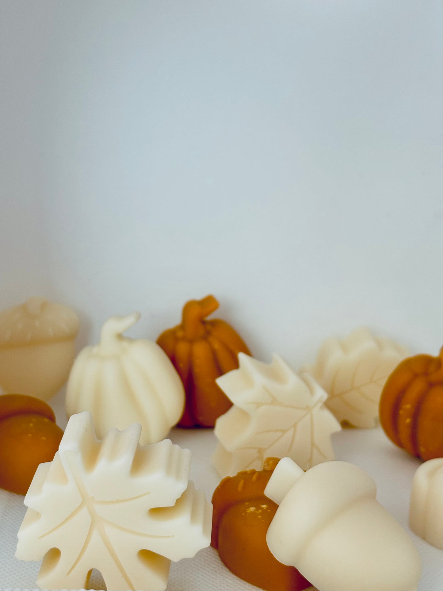 Fall 🍁 in Love Wax Melts ( 73g )