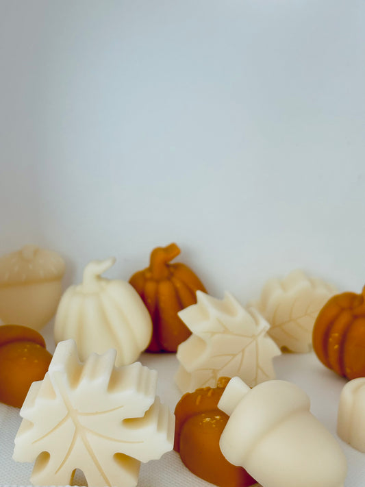 Fall 🍁 in Love Wax Melts ( 73g )