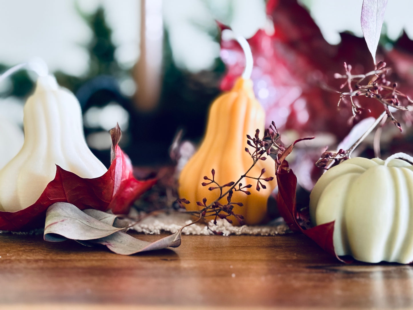 Spiced Pumkin (100g)