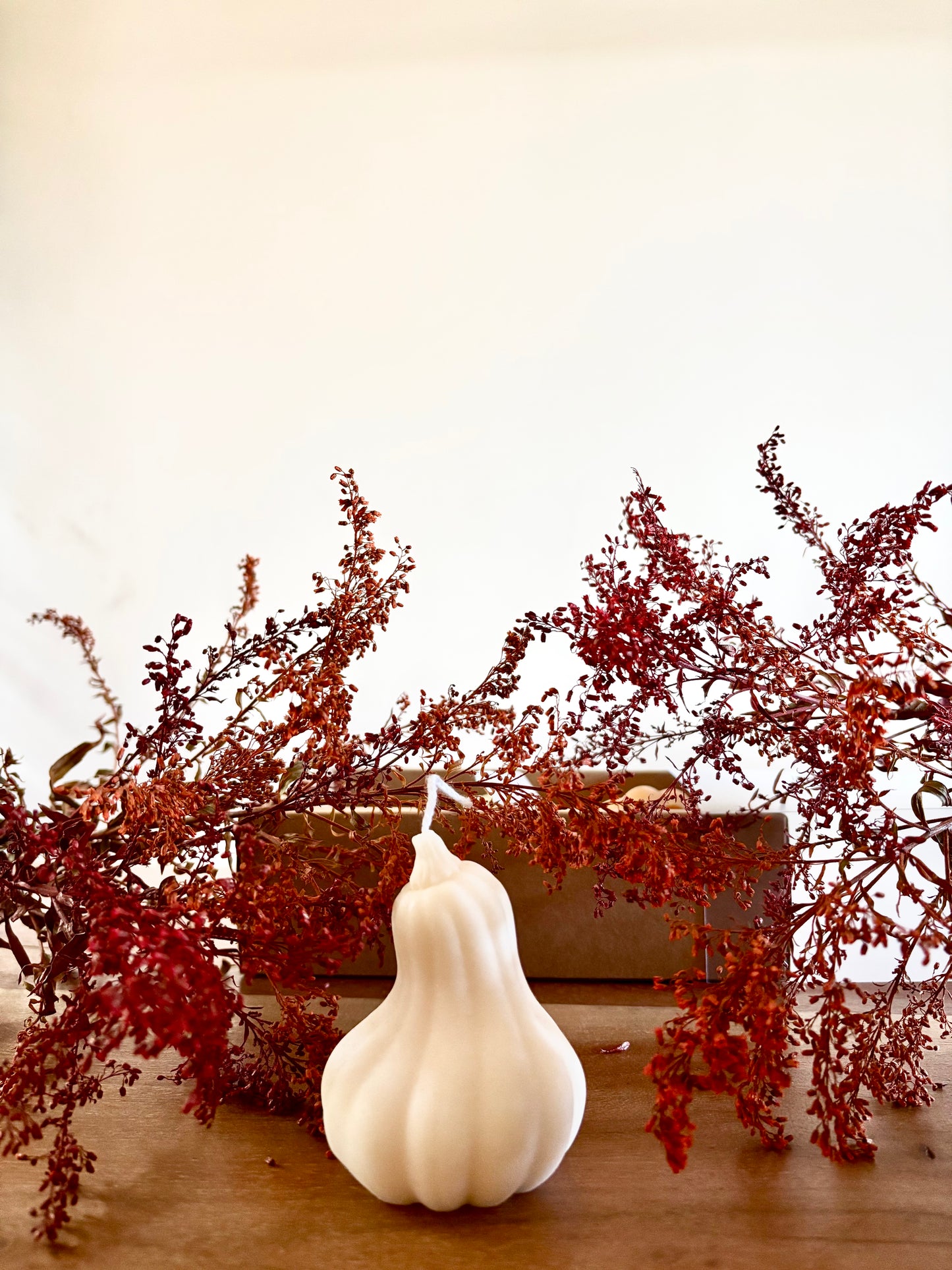 Spiced Pumkin (100g)