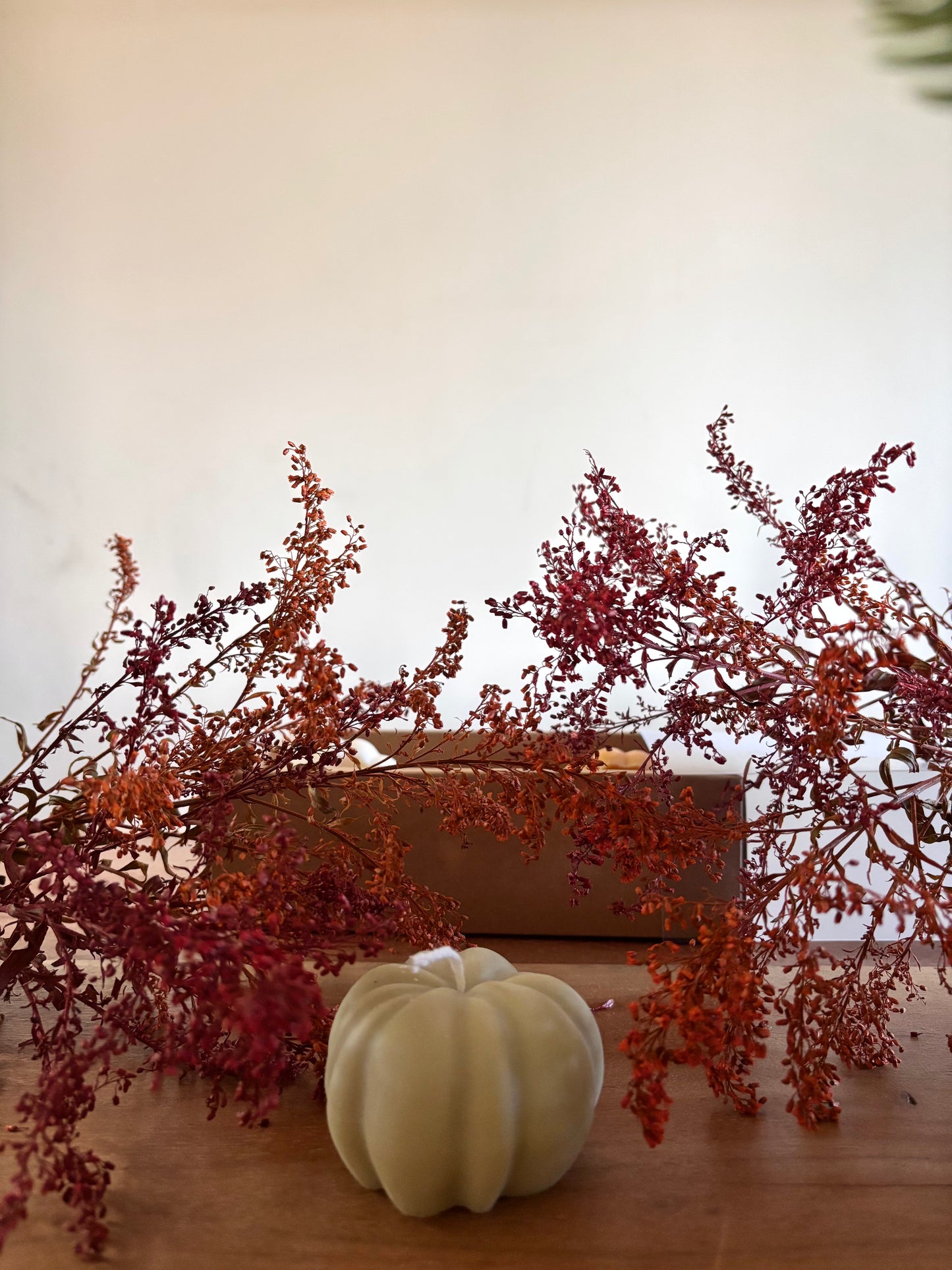 Spiced Pumkin (100g)