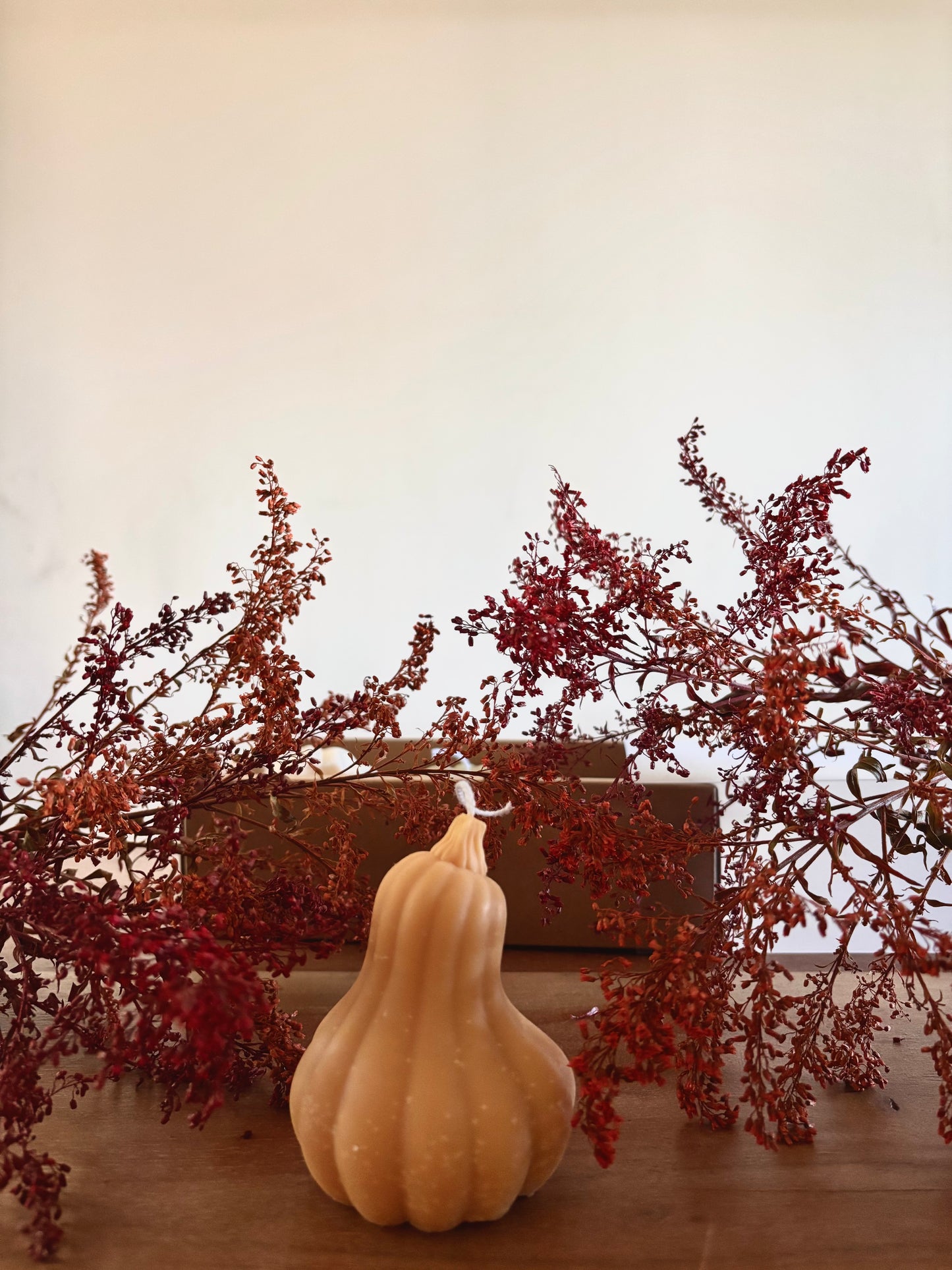 Spiced Pumkin (100g)